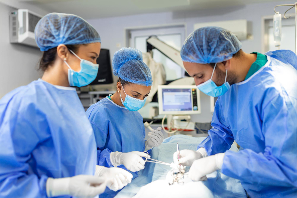 World-Class Healthcare, Made Accessible